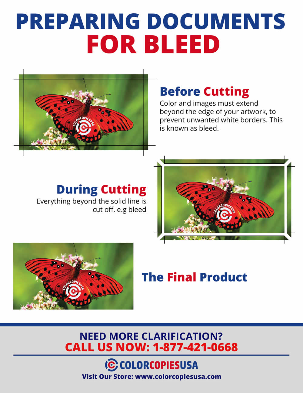 Preparing documents for bleed infographic