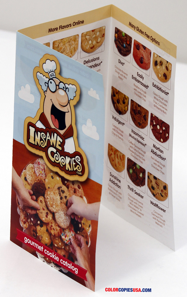 Tri fold brochure ColorCopiesUSA Work Tri fold brochure ColorCopiesUSA Work